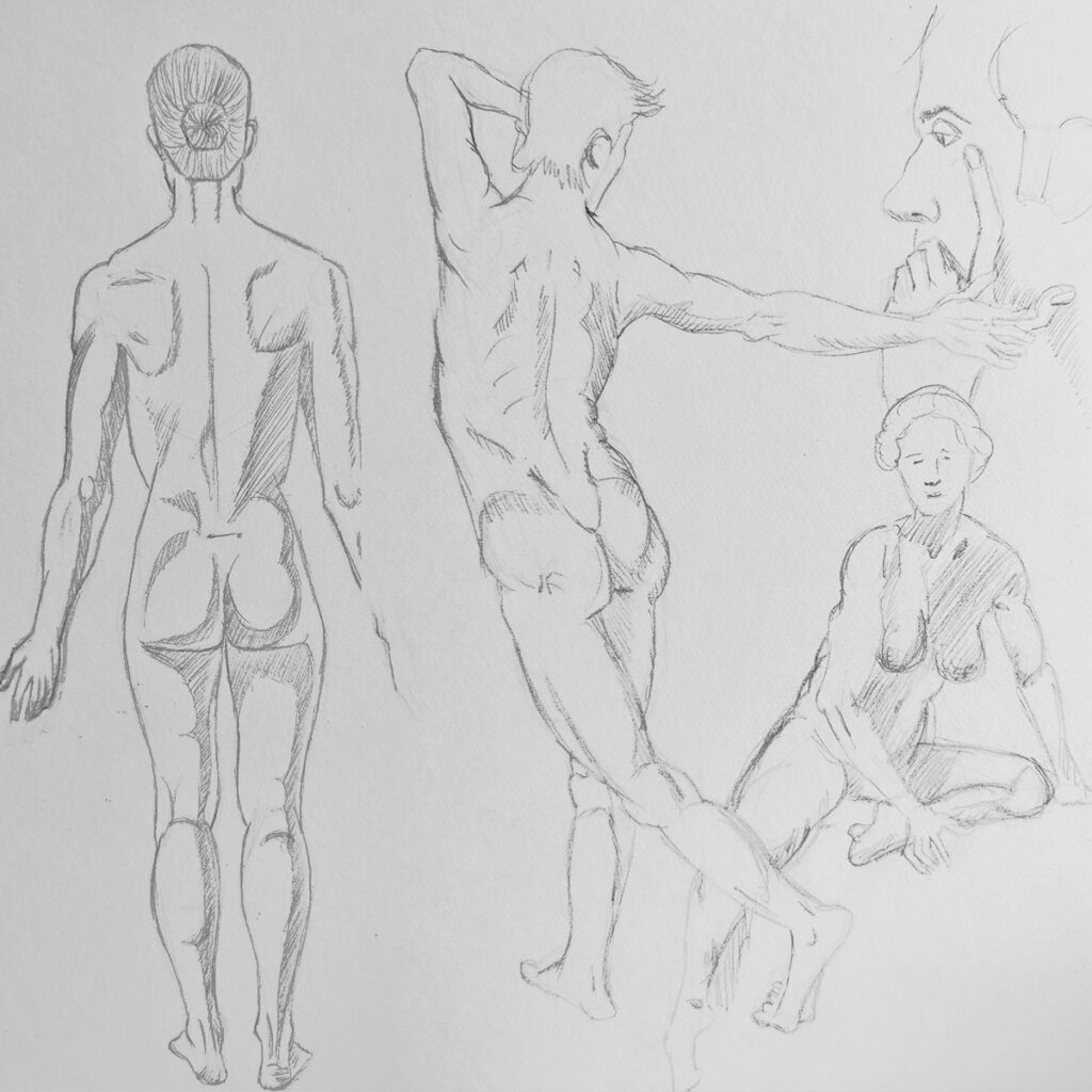 anatomy study